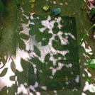 Захоронение ID 1264564