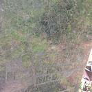 Захоронение ID 1267262