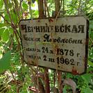 Захоронение ID 1267393