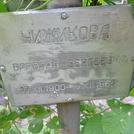 Захоронение ID 1268635