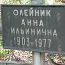 Захоронение ID 1269028