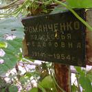 Захоронение ID 1269703