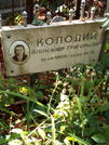 Захоронение ID 1270019