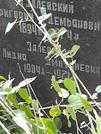 Захоронение ID 1271823