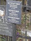 Захоронение ID 1271951