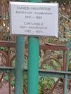 Захоронение ID 1272149