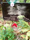 Захоронение ID 1272291