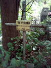 Захоронение ID 1272351