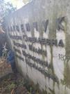 Захоронение ID 1272480