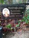 Захоронение ID 1272952