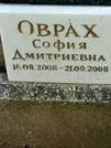 Захоронение ID 1273497