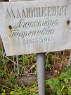 Захоронение ID 1273779