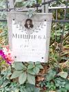 Захоронение ID 1274333