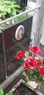 Захоронение ID 1275076