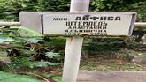 Захоронение ID 1275248
