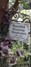 Захоронение ID 1275402