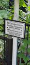 Захоронение ID 1275705