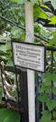 Захоронение ID 1275707