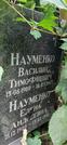 Захоронение ID 1276054