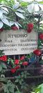 Захоронение ID 1276398
