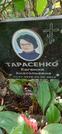 Захоронение ID 1277070