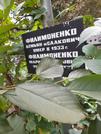 Захоронение ID 1277329