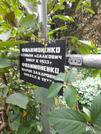 Захоронение ID 1277330