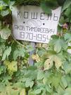 Захоронение ID 1277349