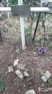 Захоронение ID 1277397