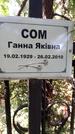 Захоронение ID 1278149