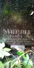 Захоронение ID 1278242