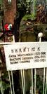Захоронение ID 1278287