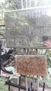 Захоронение ID 1278400
