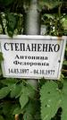 Захоронение ID 1278552