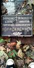 Захоронение ID 1278672