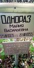 Захоронение ID 1278773