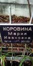 Захоронение ID 1278915