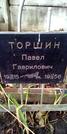 Захоронение ID 1278916