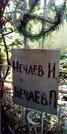 Захоронение ID 1278959