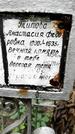 Захоронение ID 1279526