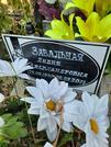 Захоронение ID 1270398