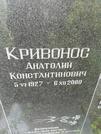 Захоронение ID 1261212