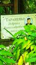 Захоронение ID 1270747