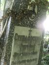 Захоронение ID 1265562