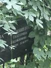 Захоронение ID 1268063