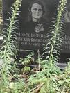 Захоронение ID 1268297