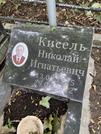 Захоронение ID 1268467