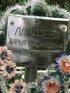 Захоронение ID 1269611