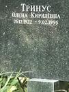 Захоронение ID 1270189