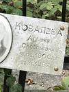 Захоронение ID 1269980